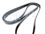 PASEK SILNIKA JAGUAR V8 X350 / XK / NEW C2C37063G