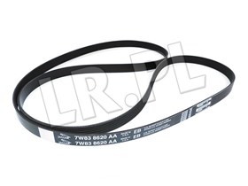 PASEK SILNIKA JAGUAR V8 X350 / XK / NEW C2C37063GEN