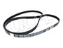 PASEK SILNIKA JAGUAR V8 X350 / XK / NEW C2C37063GEN