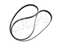 PASEK SILNIKA JAGUAR V8 X350 / XK / NEW C2C37063GEN