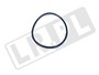 ORING MOSTU PRZEDNIEGO C2D27326GEN