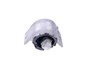 PODUSZKA SILNIKA F-TYPE/X351/ XF/ XK150 C2D38505EUROSPARE