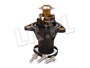 TERMOSTAT JAGUAR X-T BENZYNA C2S11278WAXSTAT