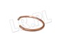 ZABEZPIECZENIE SIMMERINGU DYFERENCJALU C2S5130GEN