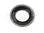 USZCZELNIACZ WALU DYFER S-TYPE C2S52518GEN