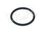 ORING OBUDOWY TERMOSTATU FREELANDER 1,8 CDU3858LGEN