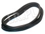 USZCZELKA DRZWI TYL (PIATE) DISCO / DISC CKE101000