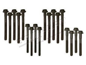 HEAD BOLT KIT 200 TDI DA2006G