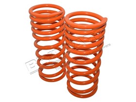 110 DEF 1 INCH LOWERED SPRINGS - REAR DA6449