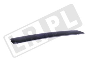 LISTWA SZYBY CZOLOWEJ LEWA RR L322 / RR DCB500172PNPGEN