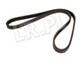 PASEK KLIMATYZACJI JAGUAR X300 3,2/4,0 EBC11220DAYCO