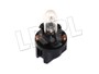 ZAROWKA ZEGAROW RR P38 / FREELANDER EJP1180LGEN