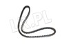 PASEK KLINOWY V8 WSPOMAGANIE ERC675DAYCO