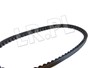 PASEK ALTERNATORA V8 EFI ERR2073DAYCO