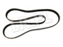 PASEK GLOWNY PLASKI - 300 TDI DO 95 ERR3287