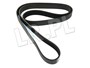 PASEK GLOWNY PLASKI - 300 TDI DO 95 ERR3287DAYCO