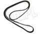 PASEK GLOWNY PLASKI - 300 TDI DO 95 ERR3287DAYCO
