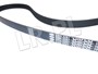 PASEK GLOWNY PLASKI - 300 TDI DO 95 ERR3287GEN