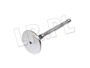 ZAWOR SSACY 300 TDI ERR3777GEN