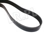 PASEK GLOWNY PLASKI Z KLIMATYZACJA RR P3 ERR4460GATES