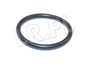 ORING KOLA ROZRZADU WALU KORB. 300 TDI ERR4710G