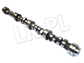 WAŁEK ROZRZĄDU V8 4,6 EFI DISCO II / RR ERR5250G