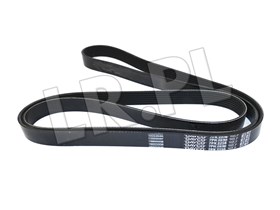 PASEK GLOWNY PLASKI Z KLIMATYZACJA V8 EF ERR5579DAYCO