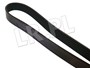 PASEK GLOWNY PLASKI Z KLIMATYZACJA V8 EF ERR5579DAYCO