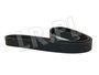 PASEK GLOWNY PLASKI - 300 TDI OD 96 ERR5911ALL
