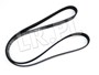 PASEK GLOWNY PLASKI - 300 TDI OD 96 ERR5911GATES