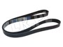 PASEK GLOWNY PLASKI - 300 TDI OD 96 ERR5911GATES