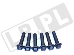 SRUBA KOLA DWUMASOWEGO TD5 ERR6581GEN