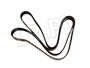 PASEK GLOWNY PLASKI KLIMA + ACTIVE ROLL ERR6896BM