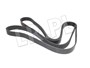 PASEK GLOWNY PLASKI KLIMA + ACTIVE ROLL ERR6896BM