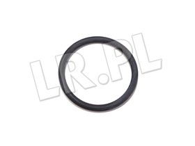 ORING POMPOWTRYSKIWACZA TD5 ERR7004