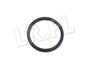 ORING POMPOWTRYSKIWACZA TD5 ERR7004