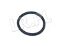 ORING POMPOWTRYSKIWACZA TD5 ERR7004