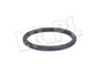 ORING POMPOWTRYSKIWACZA TD5 ERR7004X