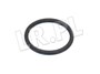 ORING POMPOWTRYSKIWACZA TD5 ERR7004X