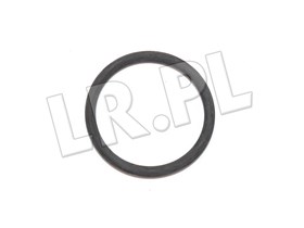 ORING POMPOWTRYSKIWACZA TD5 ERR7004X