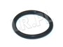ORING PRZEWODOW CHLODNICY OLEJU SILNIKA ESR2237G