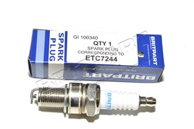 SWIECA ZAPLONOWA EFI KATALIZATOR V8 (RN1 ETC7244