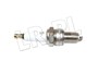 SWIECA ZAPLONOWA EFI KATALIZATOR V8 (RN1 ETC7244BERU