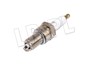 SWIECA ZAPLONOWA EFI KATALIZATOR V8 (RN1 ETC7244BERU