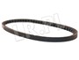 PASEK ALTERNATORA 200 TDI DISCOVERY ETC7469DAYCO