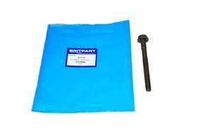 SRUBA GLOWICY 200 TDI ETC8809G