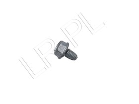 SRUBA SZYBERDACHU M6 RR L322 EYP000161GEN