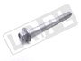 SRUBA M6 X 55 MM FB106116GEN