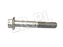 SRUBA NAPINACZA 300 TDI FB110131LG-BM