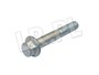 SRUBA NAPINACZA 300 TDI FB110131LG-BM